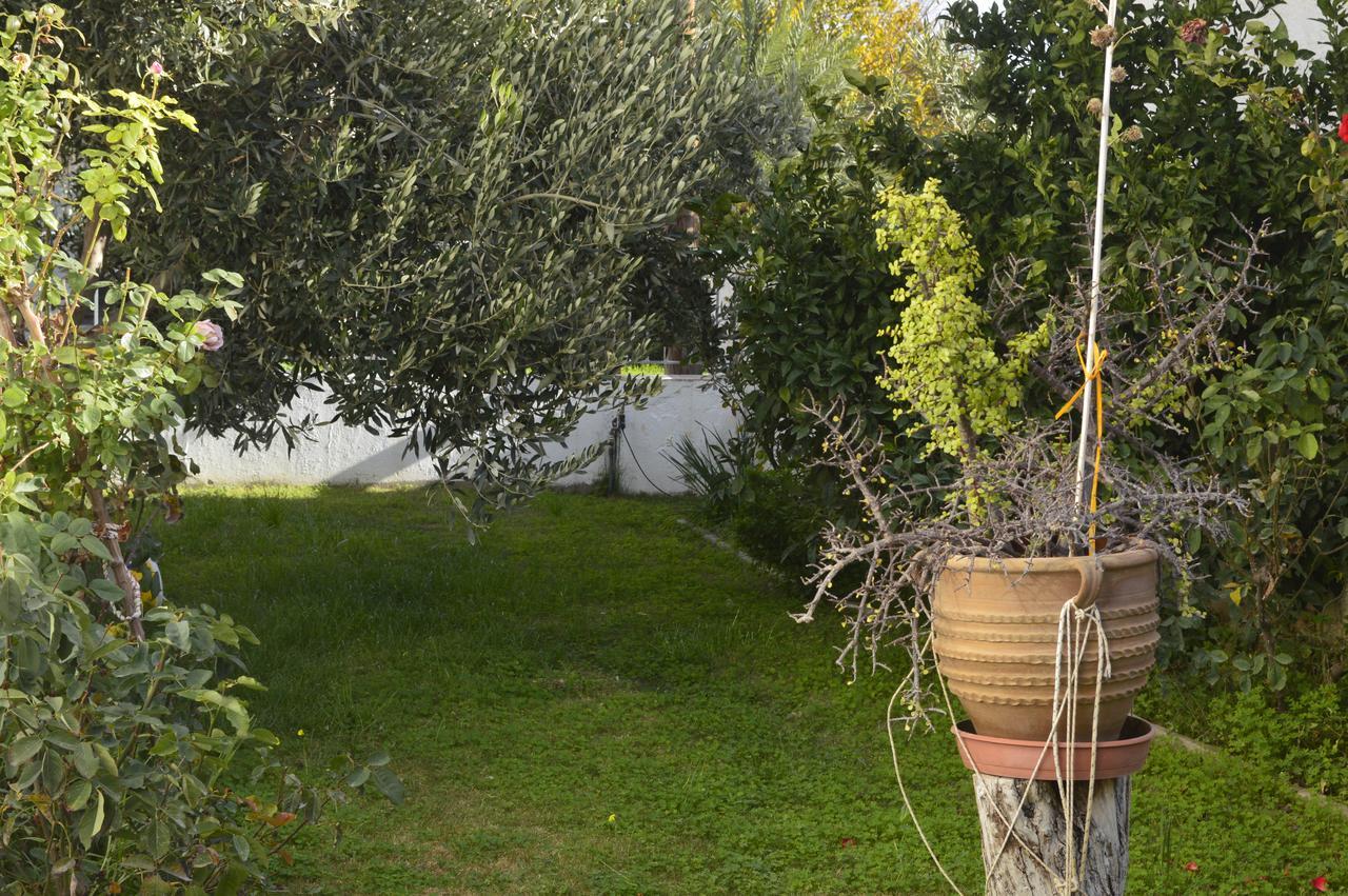Zahner Studio Pitsidia Dış mekan fotoğraf